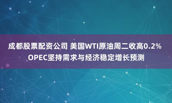 成都股票配资公司 美国WTI原油周二收高0.2% OPEC坚持需求与经济稳定增长预测
